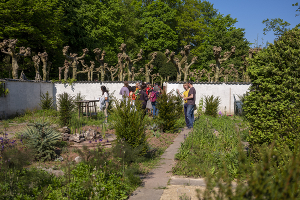 Future Gardening@Soil Assembly: Night Ecology Evening
