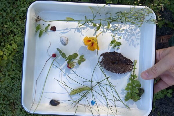 FOODSHED SOIL PICNIC
