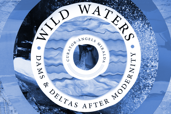 Wild Waters: Dams and Deltas After Modernity Exhibition