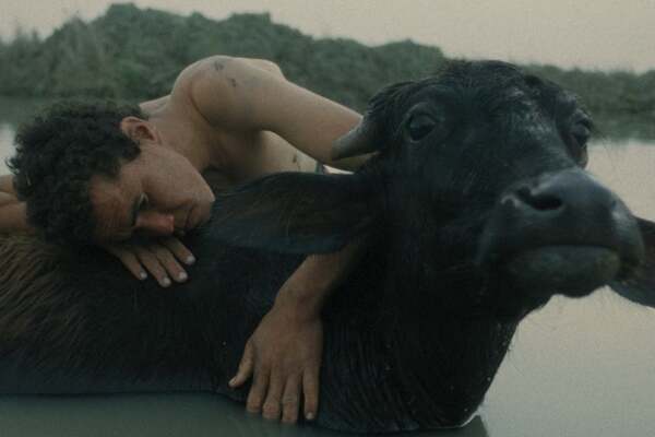 Sprouts Film Festival: Aquatic Short Stories