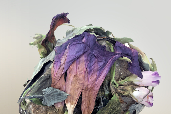 Milena Bonilla - Notes On Soils, Light and Gravity (Opening)