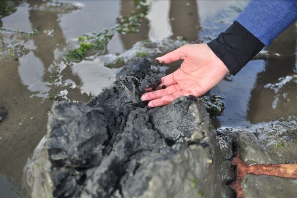 Tidal Gatherings #3: Difficult Digestions - Workshop