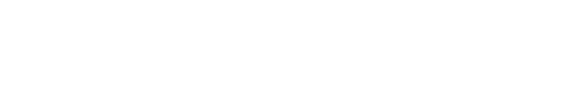 Valiz