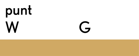 puntWG logo